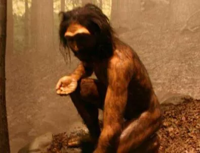В Бразилия бяха открити най-древните следи от човешки живот в Америка