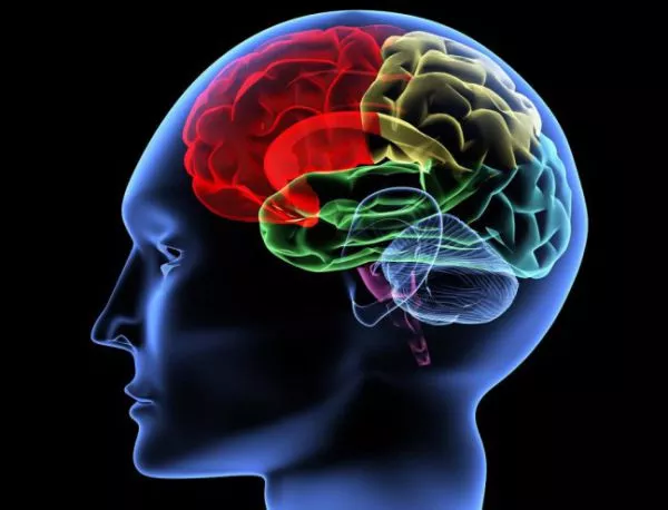 Клинт Истууд помогна на учените да разберат как мозъкът съхранява спомени