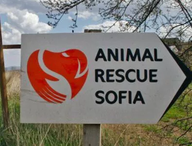 Благотворителен базар на Animal Rescue Sofia 