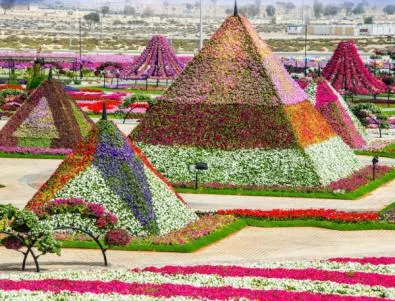 Цветна градина на чудесата в пустинята (снимки)