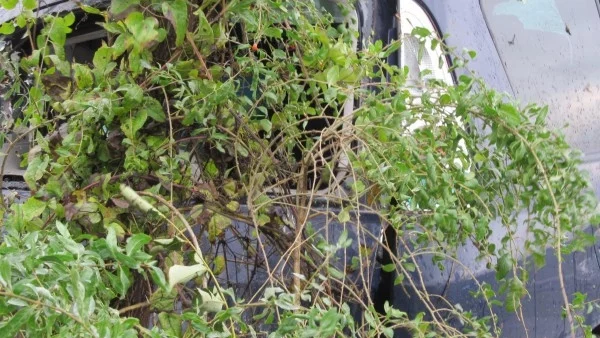 1 загинал и 19 ранени в 19 катастрофи за денонощието