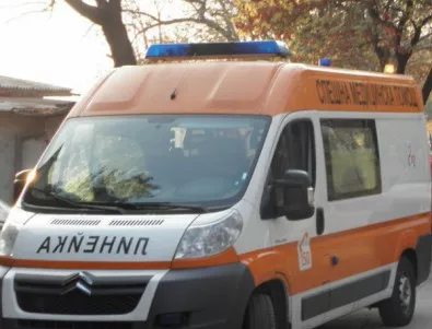 Ротвайлер нападна шестгодишно момченце в София