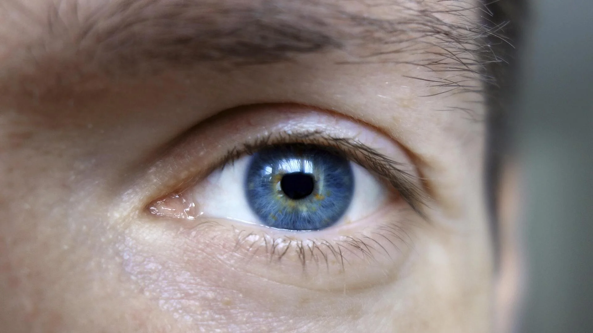 Хората със сини очи роднини ли са?