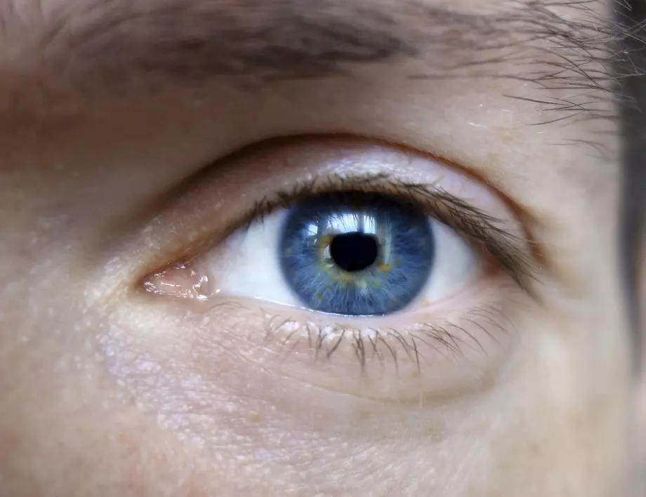 Хората със сини очи роднини ли са?