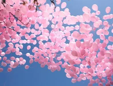 1200 розови балони полетяха в небето над София
