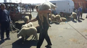 Животновъдите готвят национален протест на 22 март 