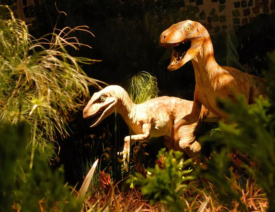 Нов метод установява колко са тежали динозаврите
