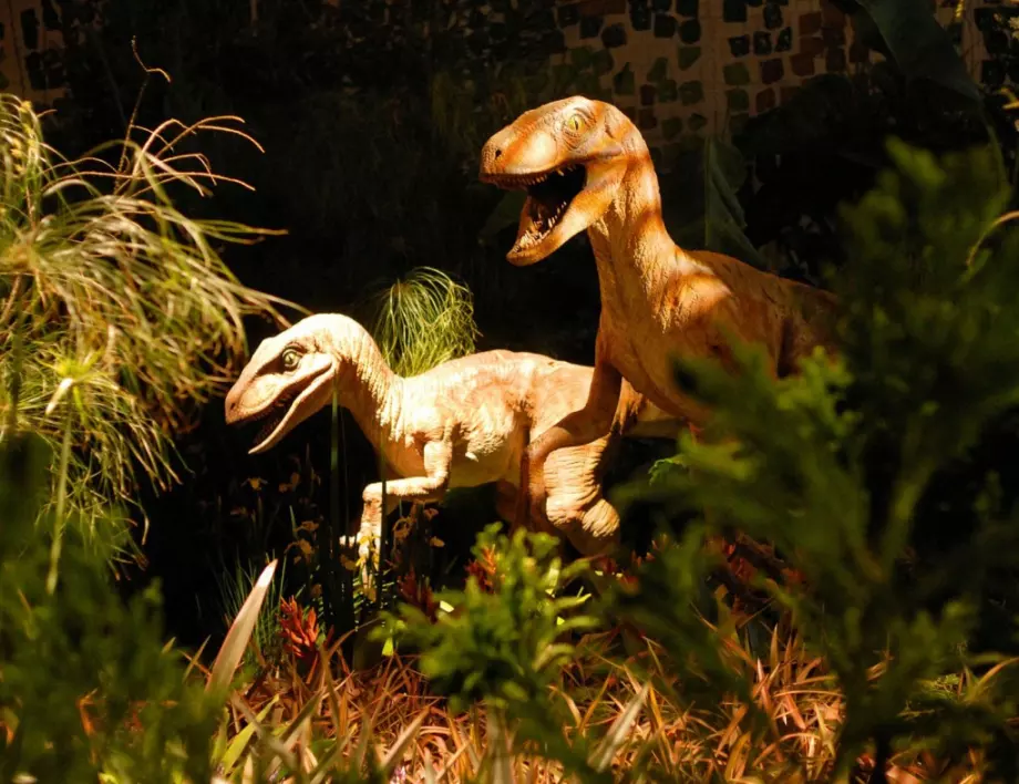 Откриха нов вид динозавър с нос като луковица