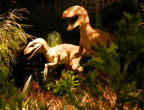 Динозаврите не са били нито студенокръвни, нито топлокръвни 