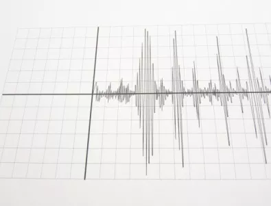 Земетресение с магнитуд 3,1 е регистрирано във Вранча 