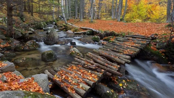 България през различните сезони в снимки