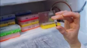 Кенийски атлетки изгоряха с допинг в Пекин