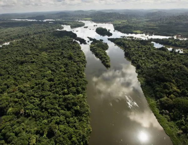 Амазонка съществува от 9 милиона години