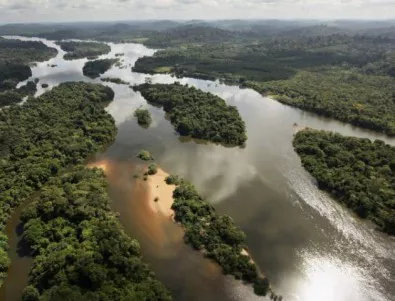 5 факта за Амазонската джунгла 