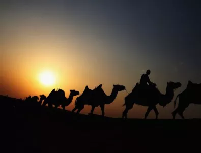 Кости на древни камили противоречат на данни от Библията за Авраам