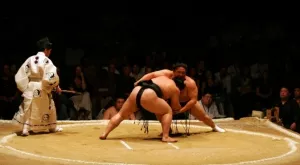 2013/11/22/0224542001385113620