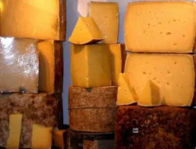 Русия се учи как се прави сирене