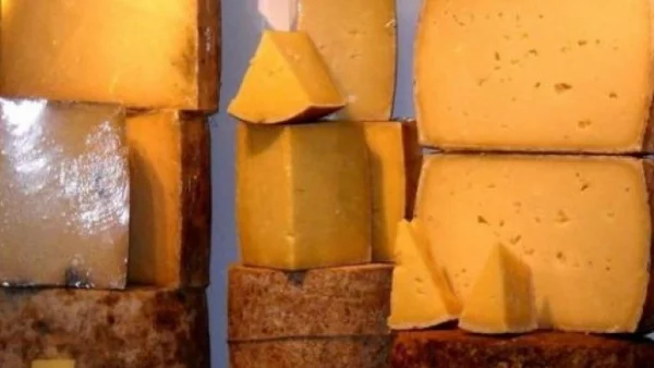 Русия се учи как се прави сирене