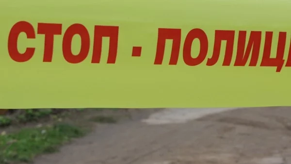 Шампион по джудо удуши майка си