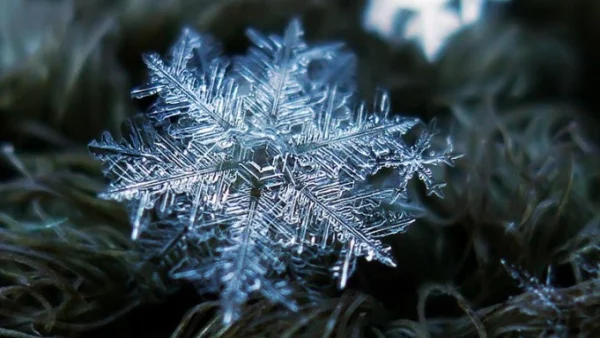 Седмична прогноза за времето за 27 ноември - 3 декември