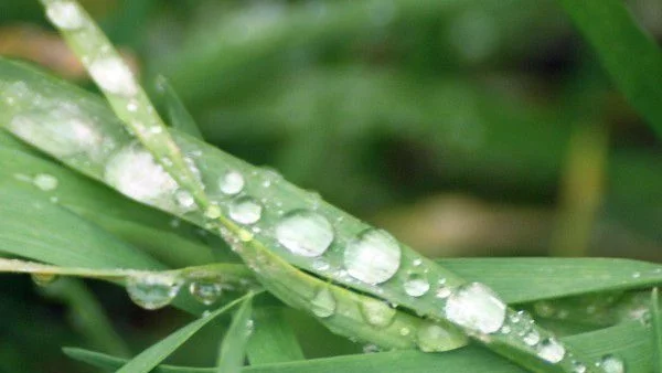 Предимно слънчево