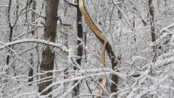 Пътищата са мокри и заснежени 