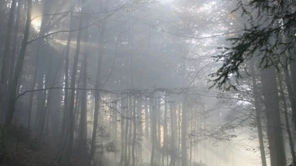 Как руски мултимилионер смята да живее вечно