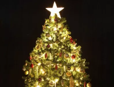 На 1-ви декември светва коледната елха на София