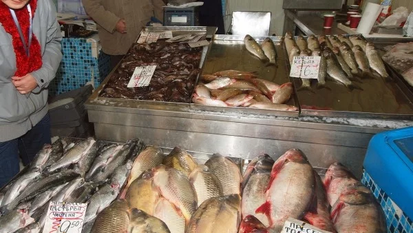 БАБХ: Тази година няма фрапиращи нарушения от страна на търговците на риба