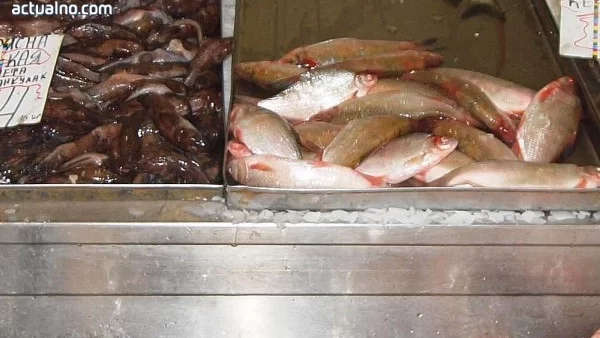 Шаран и бял амур са най-предпочитаните риби за Никулден 