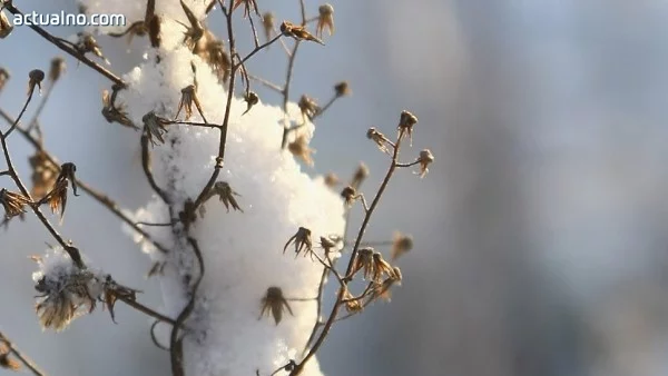 Днес няма да вали, максимални температури между 5° и 10°