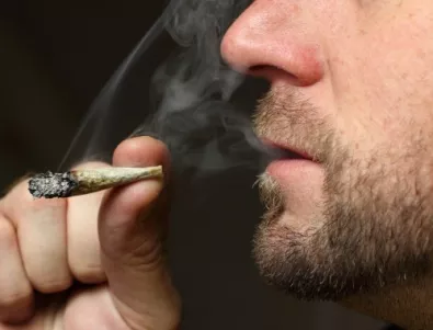 Честата употреба на марихуана влошава паметта и IQ-то при младежите