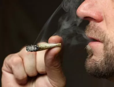Аржентина разреши употребата на марихуана за медицински цели