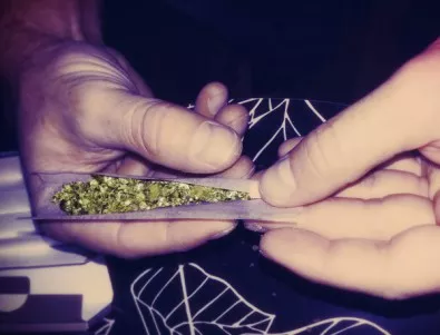 Уругвай легализира марихуаната, за да се бори с наркотрафика