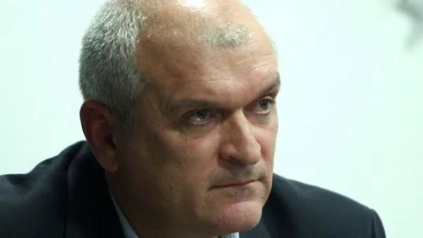 Всяка четвърта българка била обект на физическо или сексуално насилие