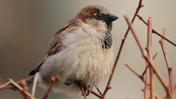 Предимно облачно, на места мъгливо