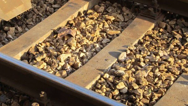 Влакът Видин-София принудително спря край гара Медковец