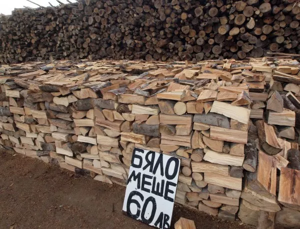 Няма незаконна сеч на Боровец, твърдят от местното горско стопанство