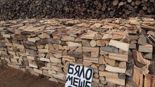 Няма незаконна сеч на Боровец, твърдят от местното горско стопанство