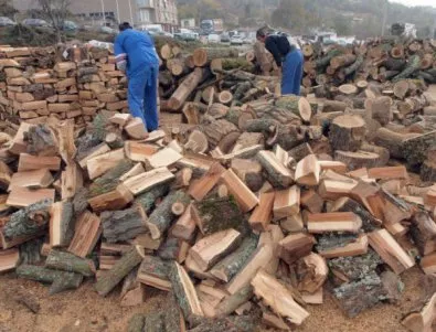 Незаконна сеч унищожи 180 декара гора край София