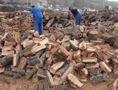 Заловената престъпна група продала дървесина за 250 000 лв.
