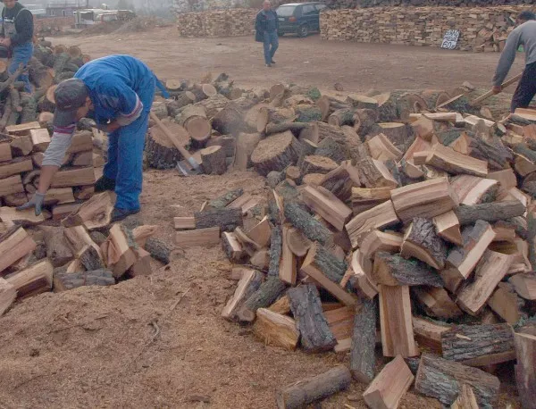13-годишно момче е пострадало при извозване на дървен материал, има опасност за живота му