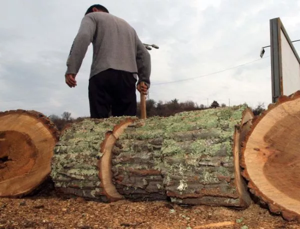 Държавата дава безвъзмездно дърва за огрев на пострадали от наводнения