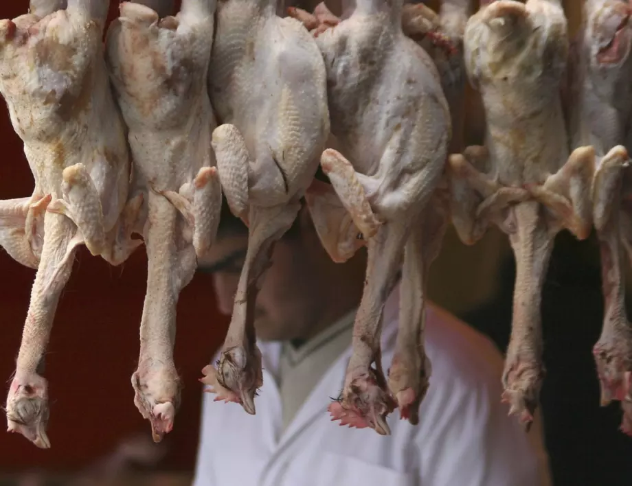 ЕС забранява вноса на птиче месо от Украйна 