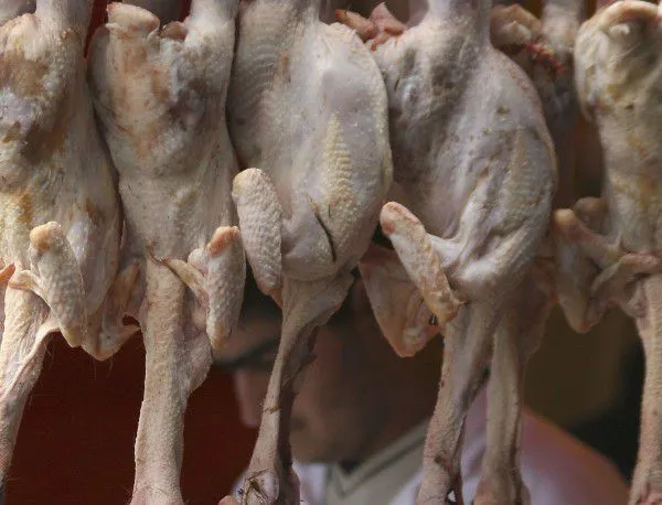 Вече може да изнасяме пилешко месо за Япония