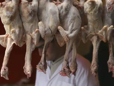 Почти цялото пилешко месо в САЩ е заразено с бактерии