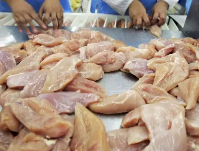 Поне 100 тона пилешко месо със салмонела стигна до българския пазар