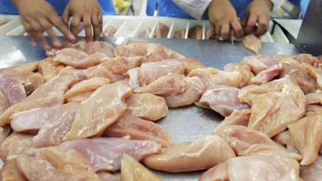 Поне 100 тона пилешко месо със салмонела стигна до българския пазар