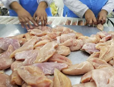 БАБХ разпореди унищожаване 10 тона пилешко месо от Полша със салмонела 