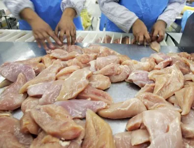 Няма хормони на растежа в пилешкото месо у нас, казва БАБХ